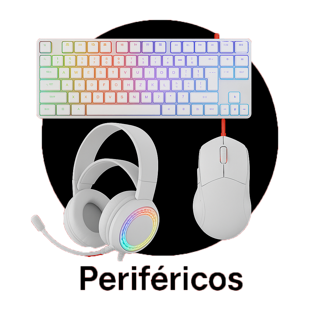 Perifericos
